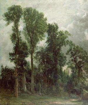 John Constable - Trees at Hampstead