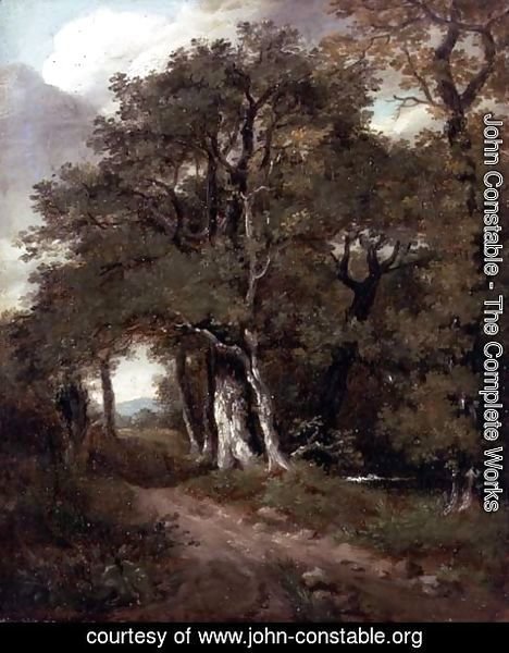 John Constable - A Wooded Path