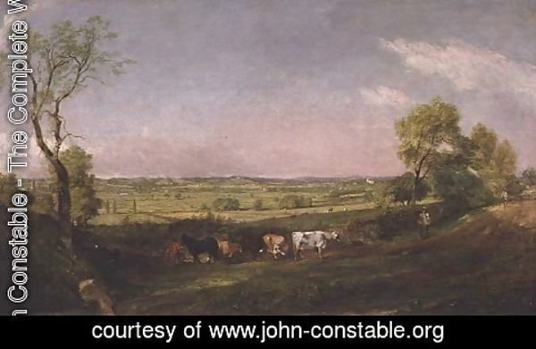 John Constable - Dedham Vale  Morning, c.1811