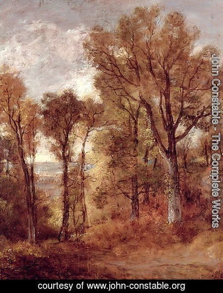 John Constable - Woodland View in Suffolk