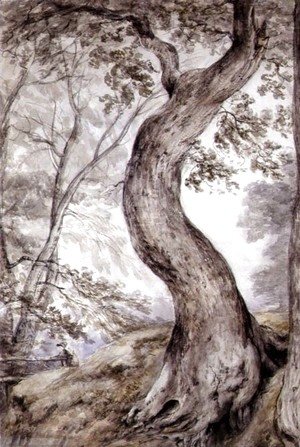 John Constable - Tree at Helmingham, c.1800