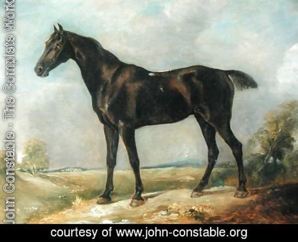 John Constable - Golding Constable's Black Riding-Horse, c.1805-10
