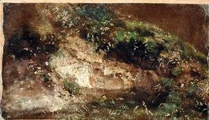John Constable - Undergrowth, c.1821