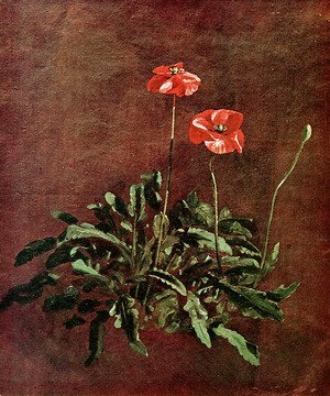 John Constable - Studies of poppies