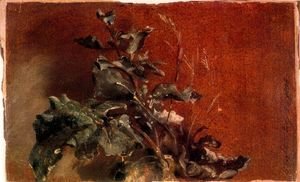 John Constable - Study of plants