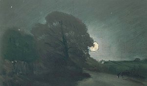 The edge of a heath by moonlight