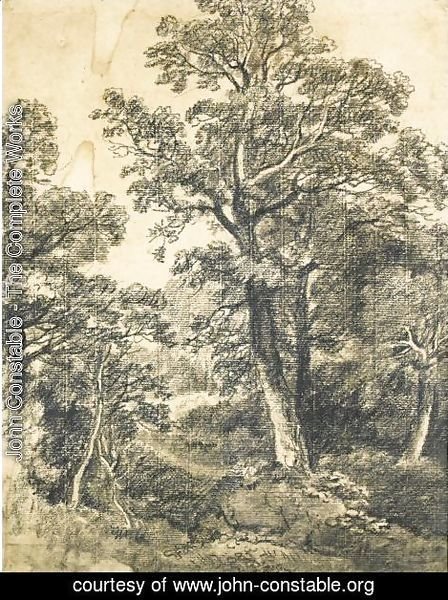 John Constable - A Wooded Landscape, East Bergholt