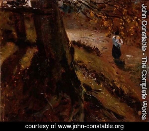 John Constable - Study of tree trunks
