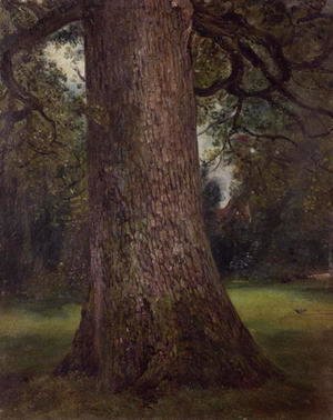 John Constable - Study of the Trunk of an Elm Tree, c.1821