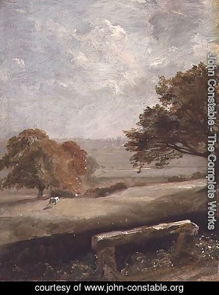 John Constable - A Park Glade  View of Dedham Church