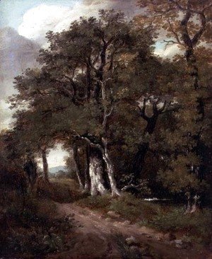 John Constable - A Wooded Path