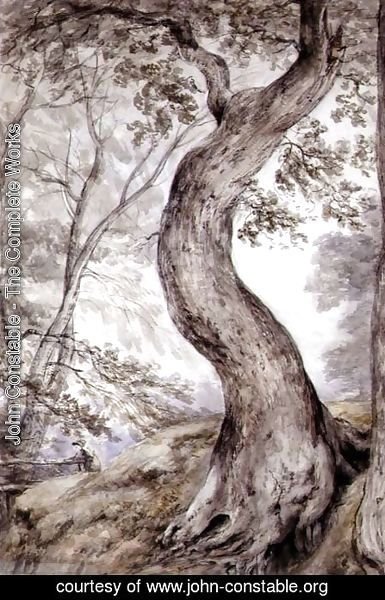 John Constable - Tree at Helmingham, c.1800
