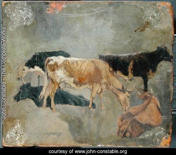 Study of Five Horned Cattle