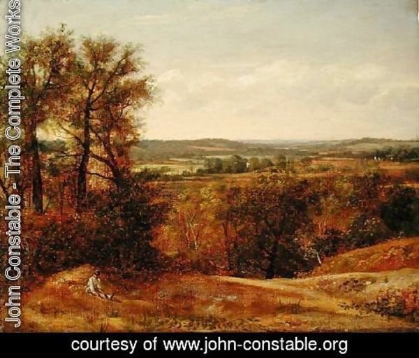 John Constable - Dedham Vale, c.1802