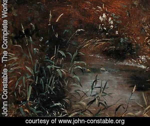 John Constable - Rushes by a Pool, c.1821