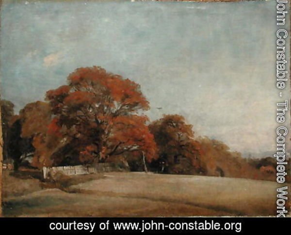 John Constable - An Autumnal Landscape at East Bergholt, c.1805-08