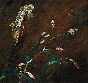 John Constable - Flower Studies: Persicaria and Meadowsweet