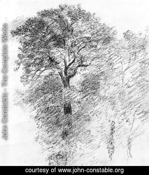 John Constable - Elm Trees