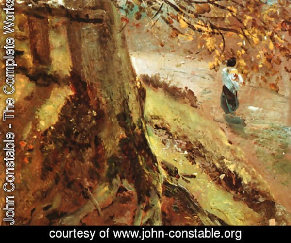 John Constable - Tree Trunks